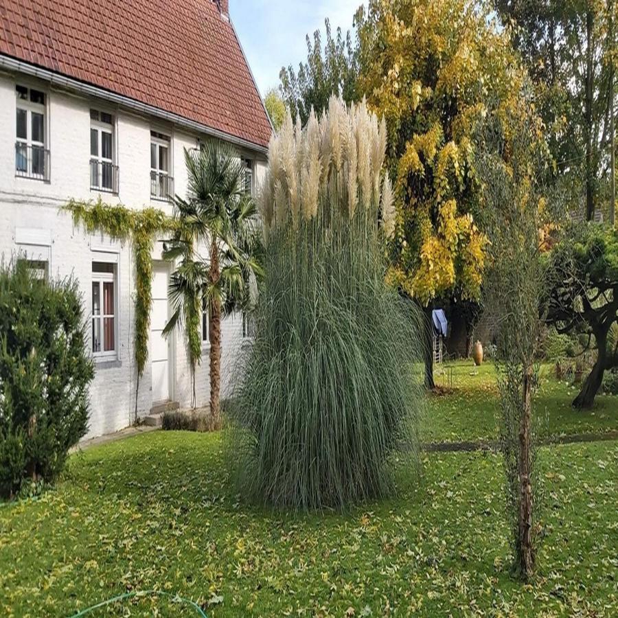 Gite La Riviera Wargnies-le-Grand Экстерьер фото