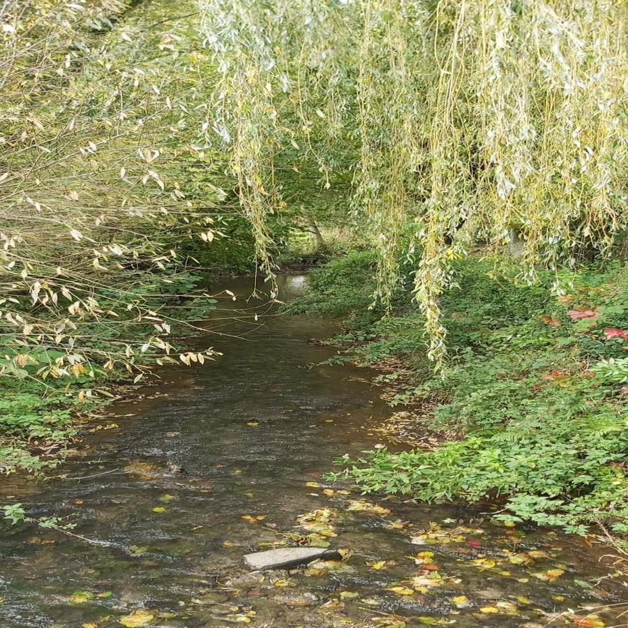 Gite La Riviera Wargnies-le-Grand Экстерьер фото